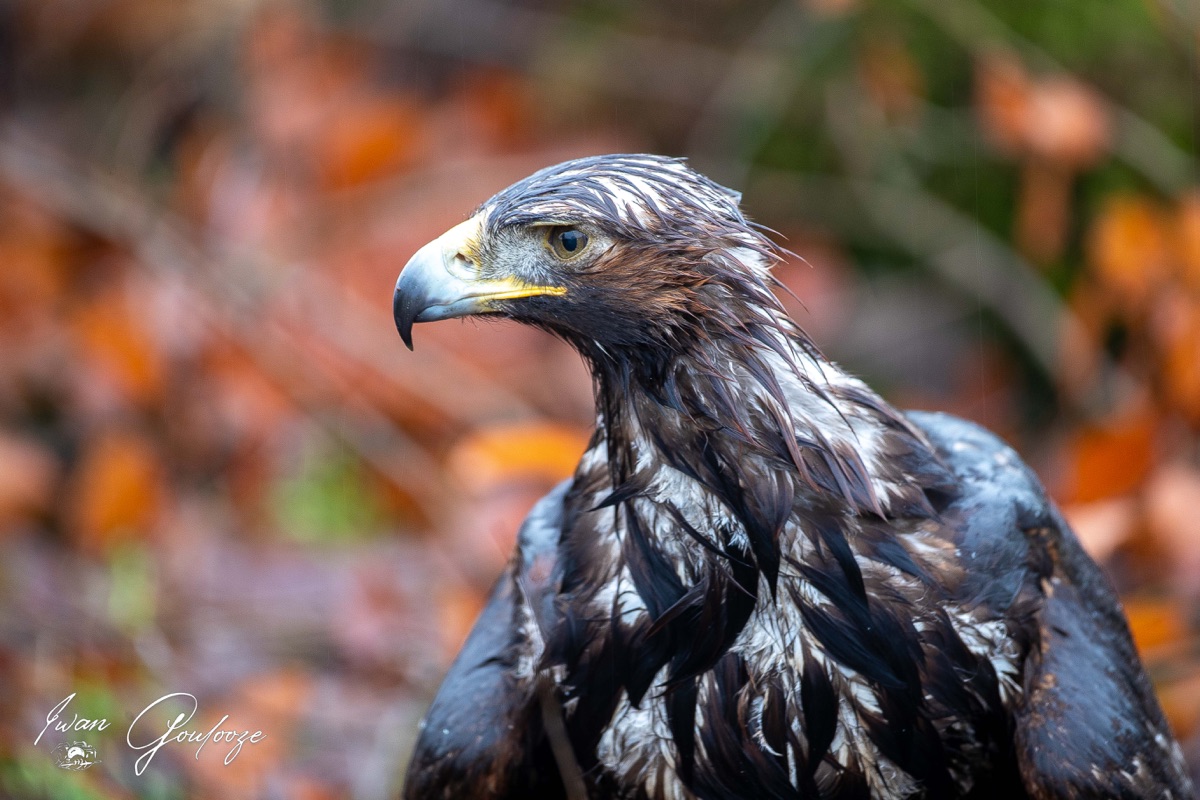 1DX45825 12 december 2021 1138 14